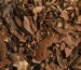 Oud is the most precious wood