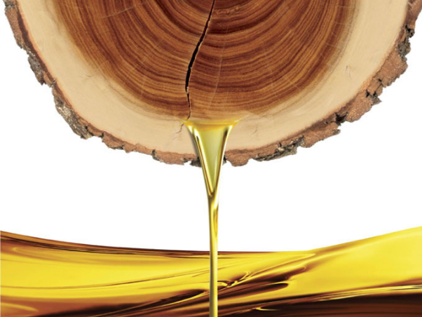 Panorama of Aromatherapy