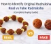 How to identify original Rudraksha bead